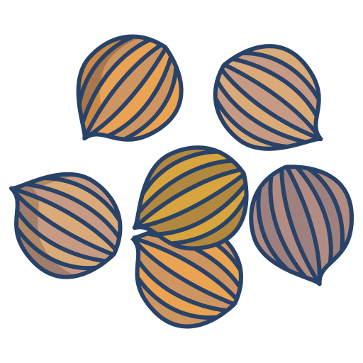 coriander Seeds export from india