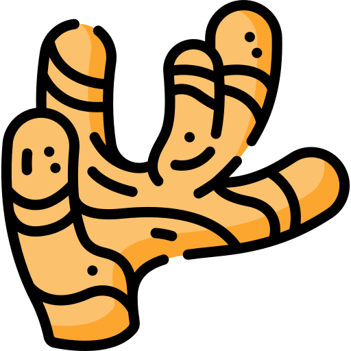 Ginger suppliers in india