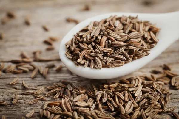 cumin seeds manufacturers in india