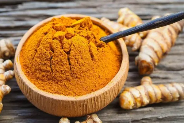 turmeric manufacturers in india
